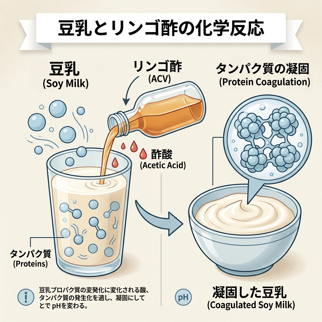 豆乳とリンゴ酢の酸凝固反応