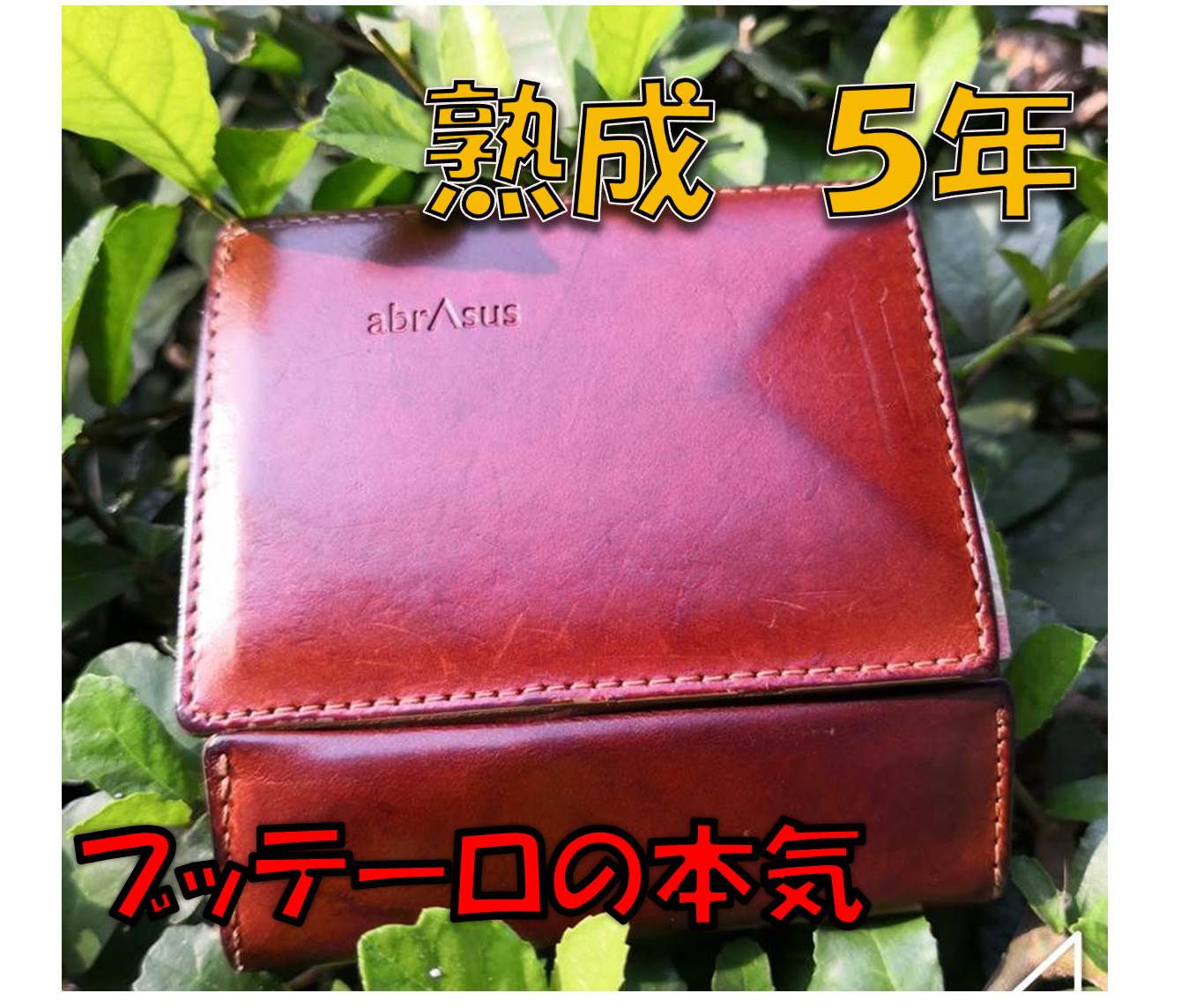 【熟成5年】abrAsus（アブラサス）薄い財布ブッテーロの経年変化と本音レビュー！